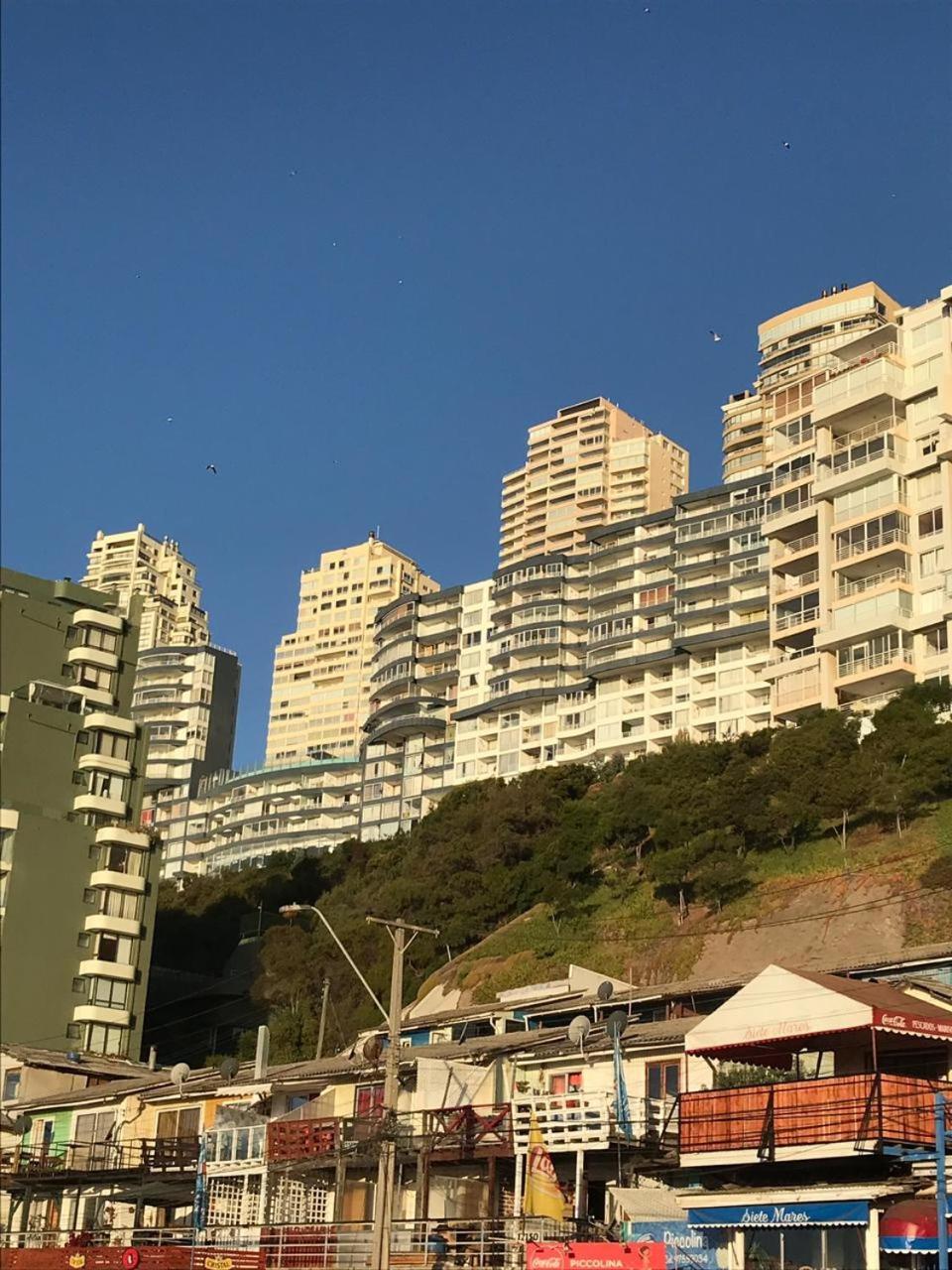 Cpm Apartment Vina del Mar Eksteriør billede